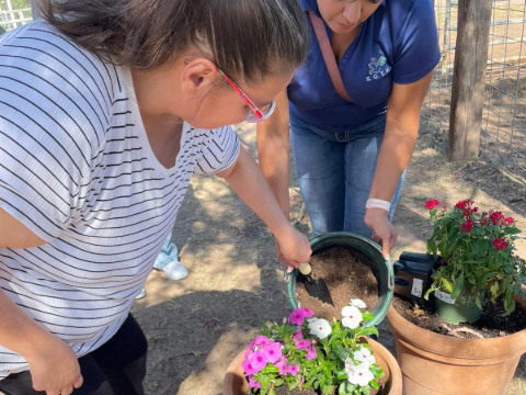 DTTA at a Ranch helping plant flower pots