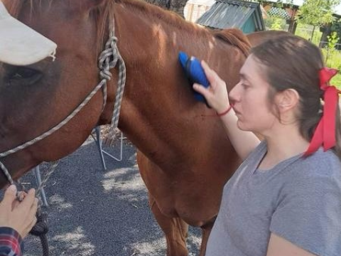 DTTA at a ranch for animal therapy brushing a horse