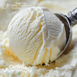 Scoop of vanilla ice cream
