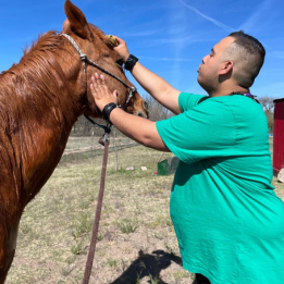 A young man coos at a horse while brushing the horse's bangs.